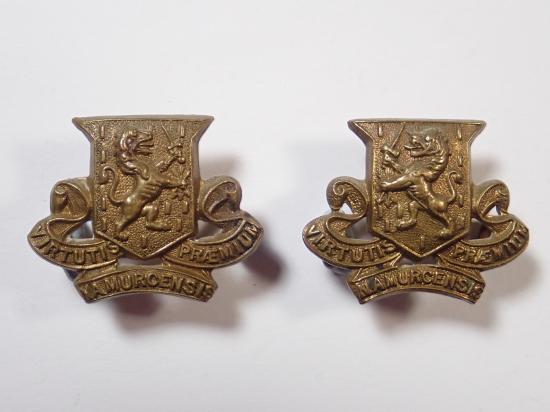 The Royal Irish Regiment early Matching Collar Badges.