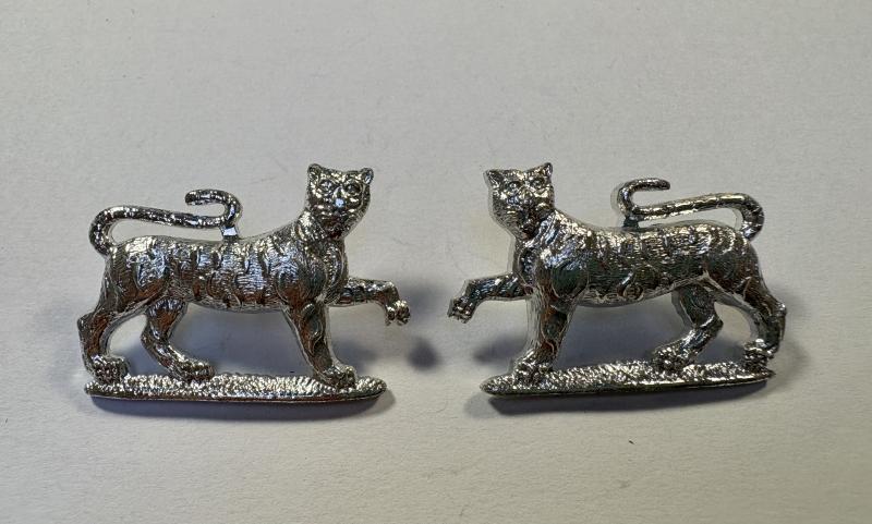 A Pair of Gordon Highlanders anodised/Staybrite Collar Badges