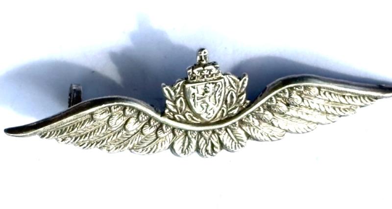 ROYAL NORWEGIAN AIR FORCE INSIGNIA (Silver) FREE FORCES
