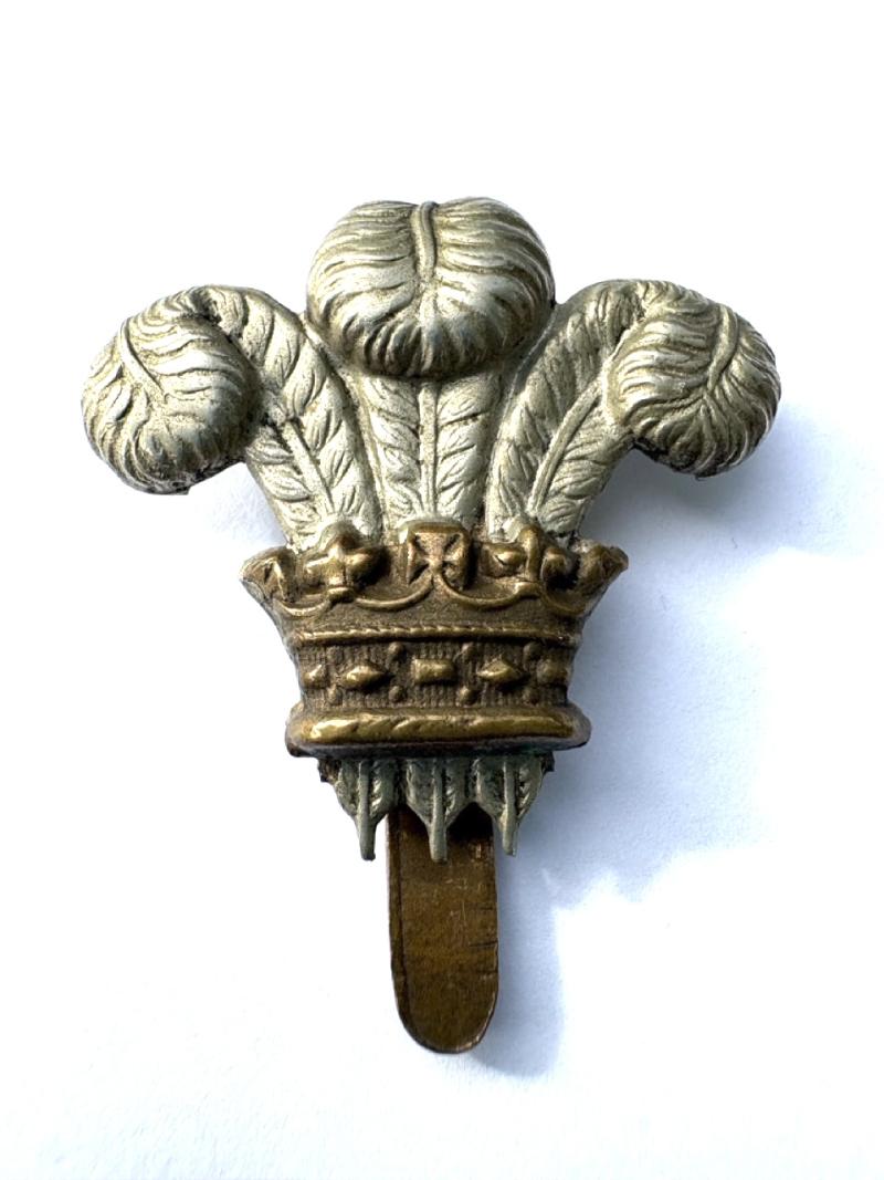 Wiltshire Regiment Side-cap/Forage Badge